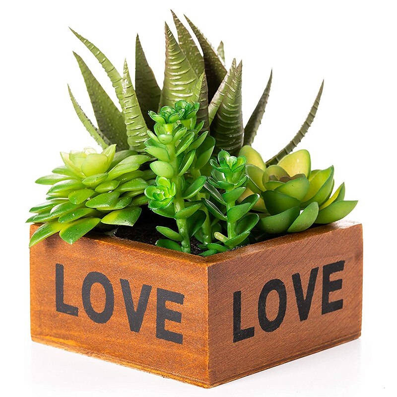 -Kunstmatige Succulent Planten Nep Succulenten Voor Of Plank Decoratie Deze Kunstmatige Planten Komen In Een Decoratieve: Default Title