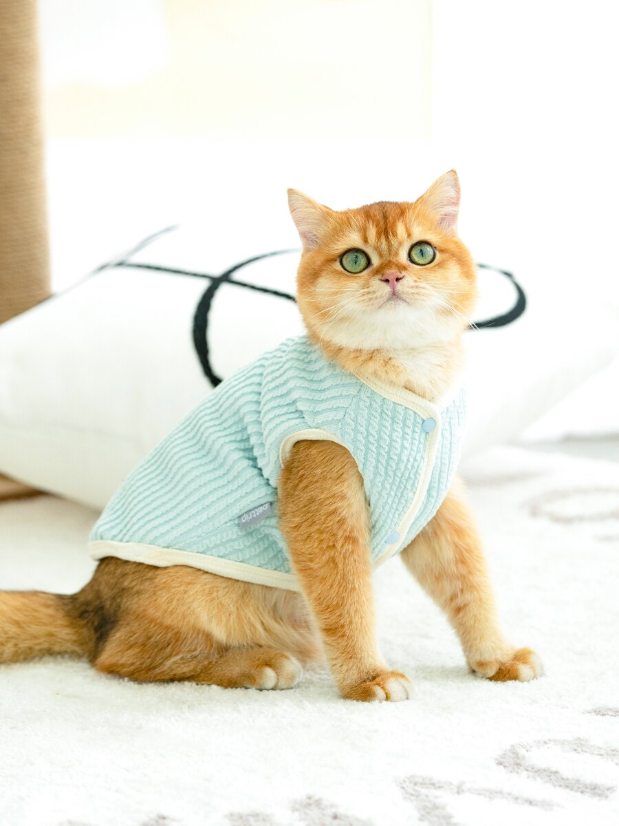 Kat Kleding Haarloze Kat Kleding Winter Verdikking Warme Sphynx Kat Kleren Thuis Comfortabele Winter Kleding