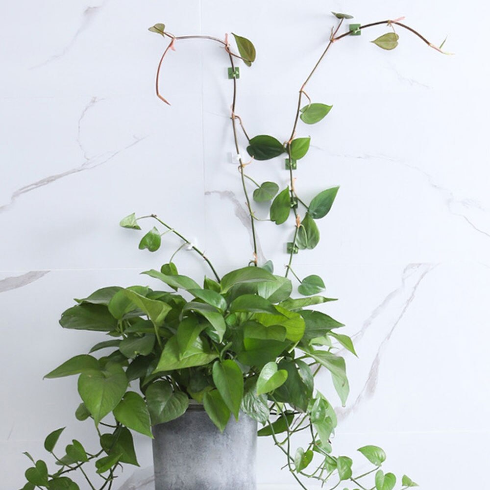 10pcs Invisible Wall Fixture Ties Durable Garden Plant Folder Grow Kits Resin Sticky Hook Holder Self-Adhesive Portable Tree
