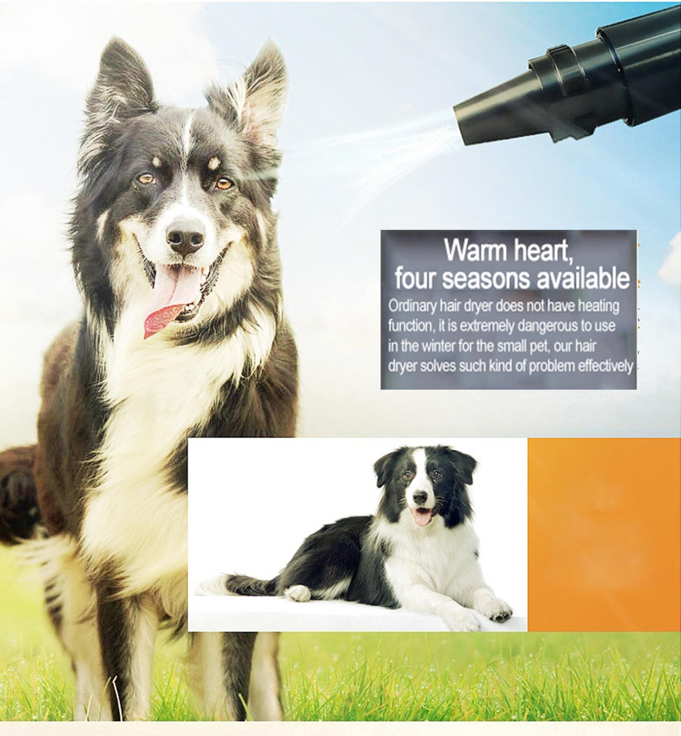 Adjustable Low Noise Pet Hair Dryer Dog Cat Grooming Heater Blower Dryers