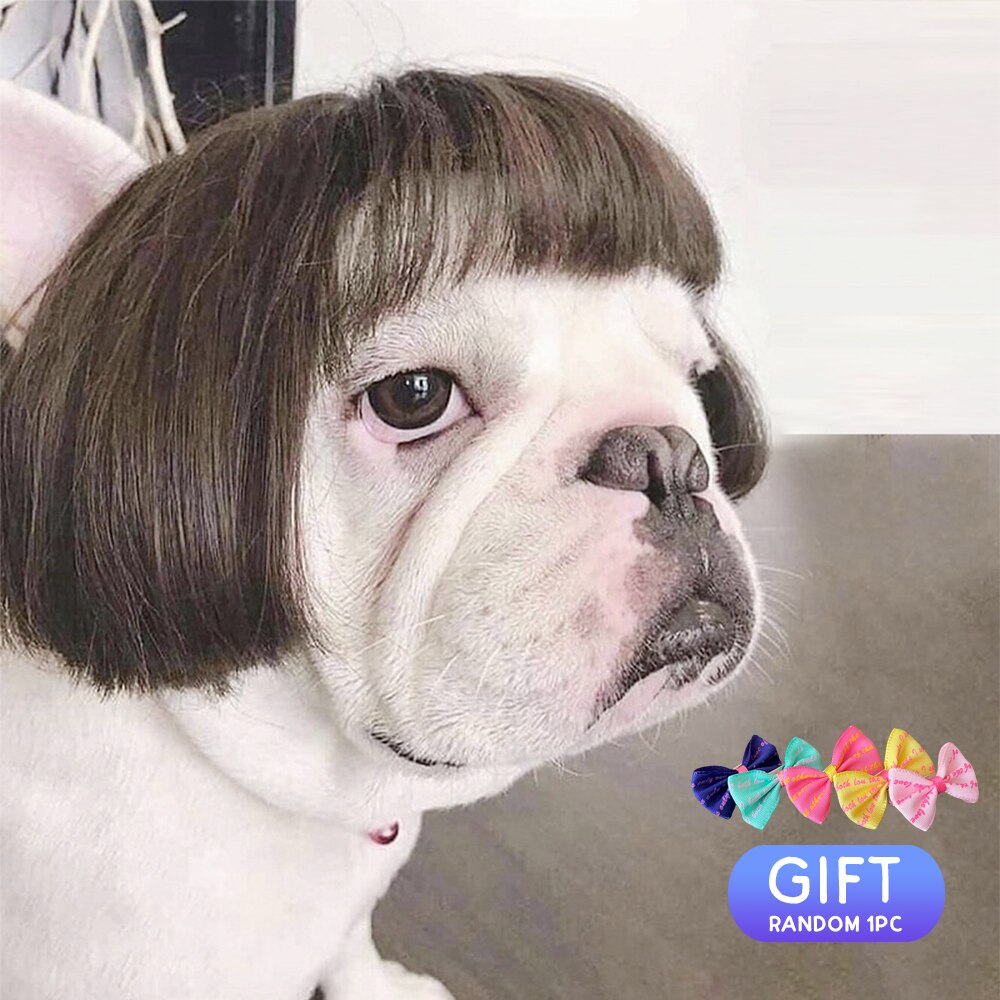 zwierzę domowe peruka rekwizyty robić cosplay placki kot przechodzić-ubieranie się zestaw robić włosów fotografia śmieszne rekwizyty akcesoria na głowę wybryk