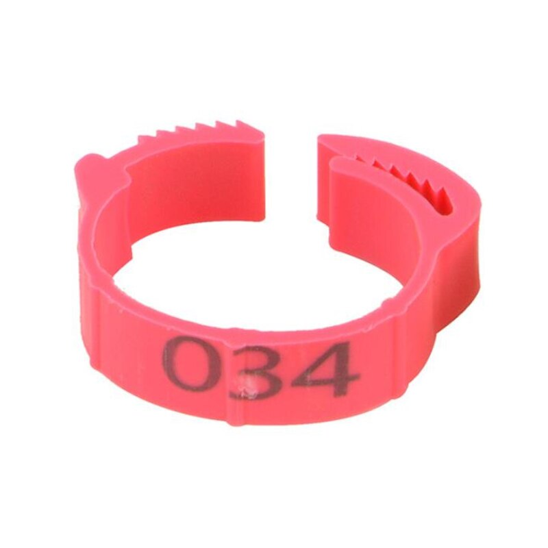 100 pcs/package Bird And Pigeon Foot Ring Color Identification Ring Opening Poultry Foot Set Foot Identification Tool: rose red