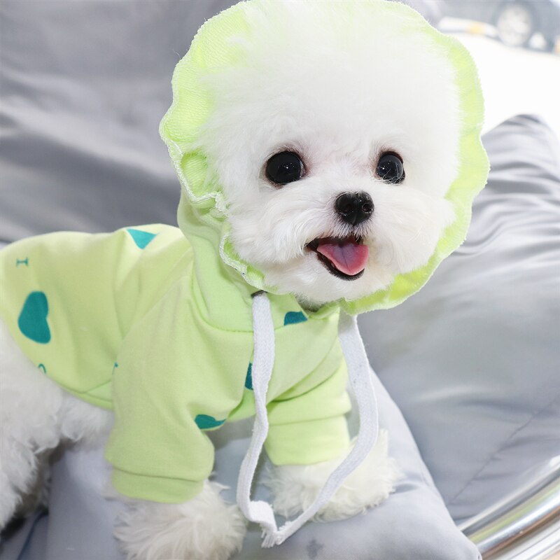 Syksy lemmikkipusero nalle bichon vip pomeraniansnautseri kissa yorkshirenterrieri pentu maito pentu koiran vaatteet