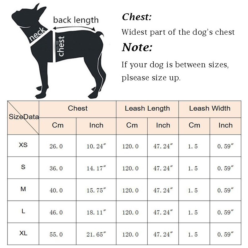 Harnais réfléchissant pour chiens | Harnais et laisse pour animaux de compagnie en mailles, Set de harnais pour petits chiens, Chihuahua Corgi, chaîne pour chiens, szelki dla psa