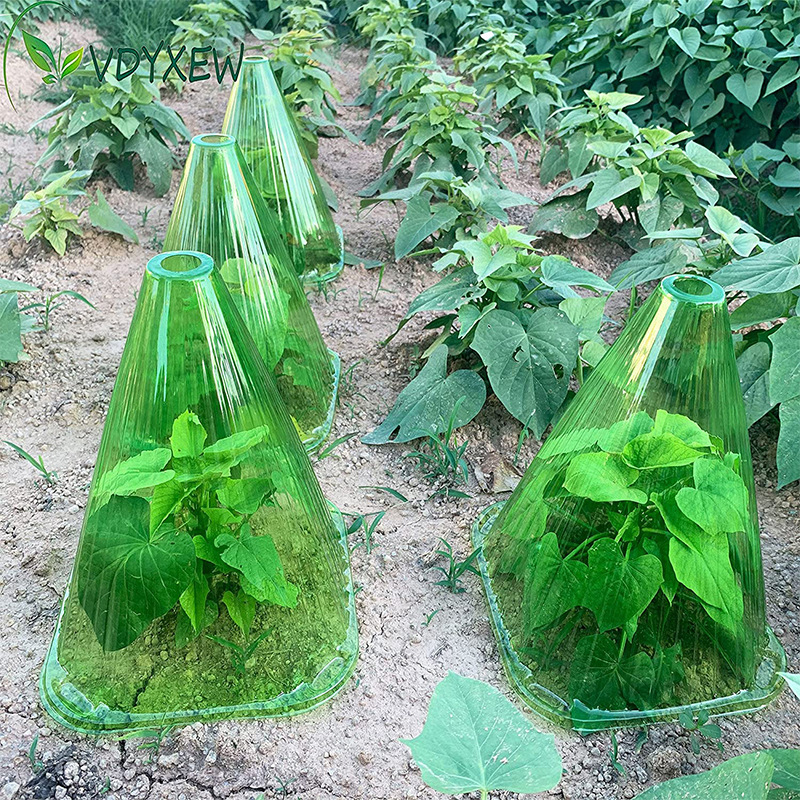 10 stücke Wachstums box Pflanz zelt wieder verwendbares Quadrat Pflanzen uhr Abdeckung verwenden, um Pflanzen vor Vogel frost und Schnecken schaden grün zu schützen
