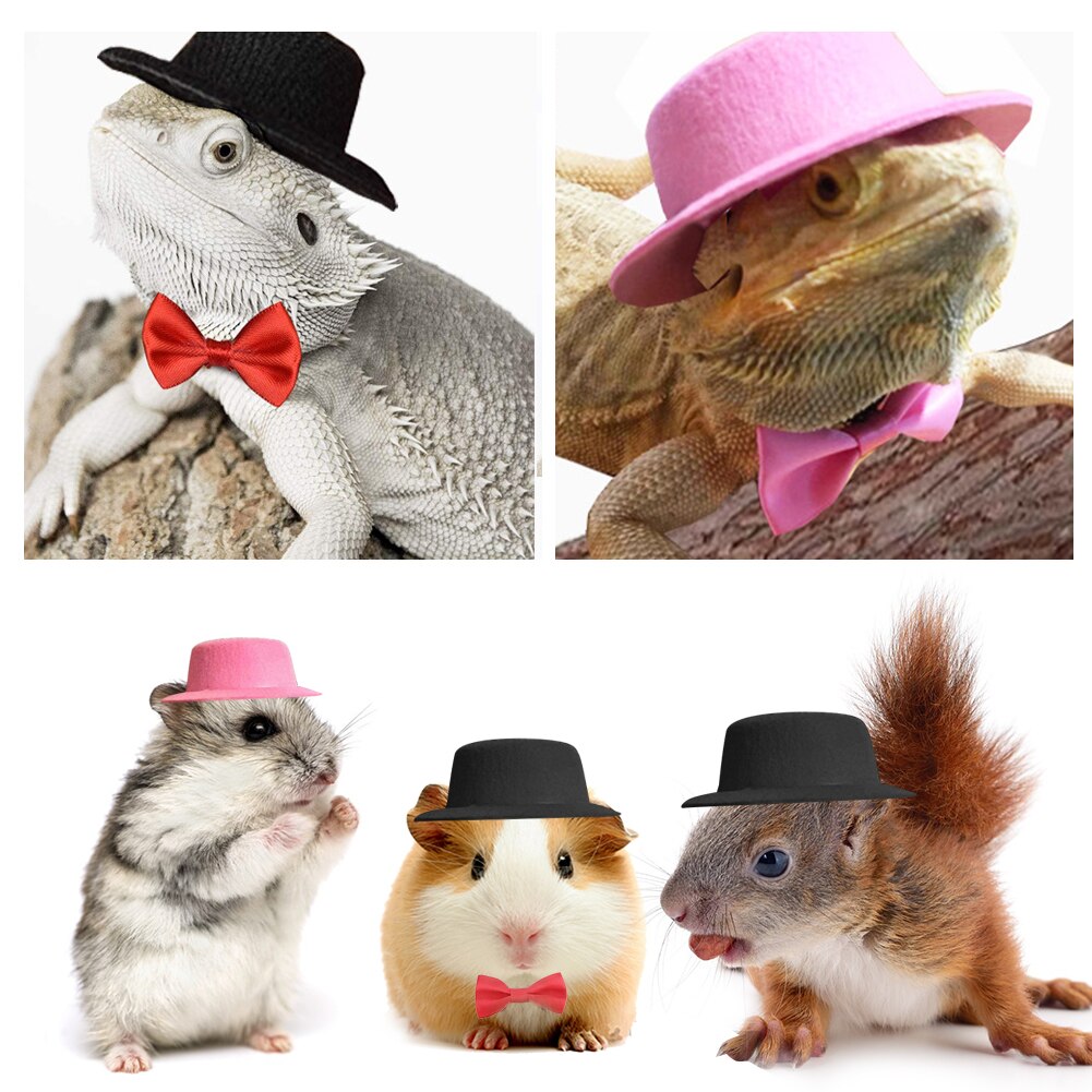 Small Animals Hats Rabbit Guinea Pig Hamster Totoro Hedgehog Hat and Bow Tie Top Hat Pet Festive Funny Cap Head Accessories