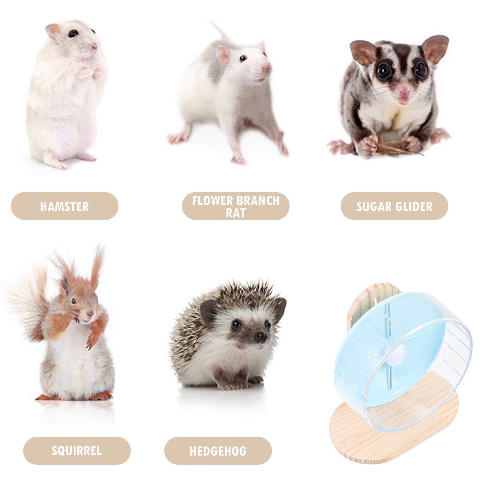 1 Set Klar Hamster Rad Transparent Hedgehog Rad Chinchilla Lauf Rad