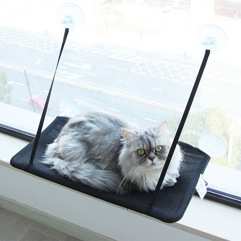 4 stuks kattenraam baars zuignap krachtige kat raam bed
