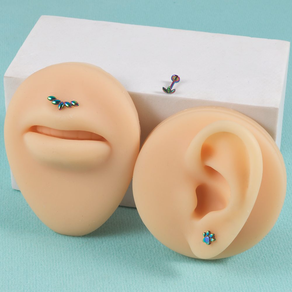 1Pc Rvs Klauw Oren Biculus Kraakbeen Piercing Vijf Marquis Oor Flap Oorbellen Vrouwelijke Punk Labret Lip Piercing Sieraden