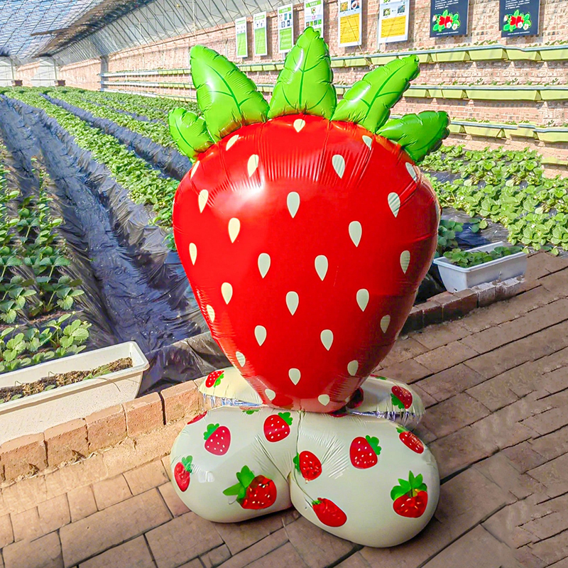 Strawberry Theme Girl's Birthday Party Decoration Disposable Fruit Tableware Tablecloth Balloons Banner Cake Toppers Baby