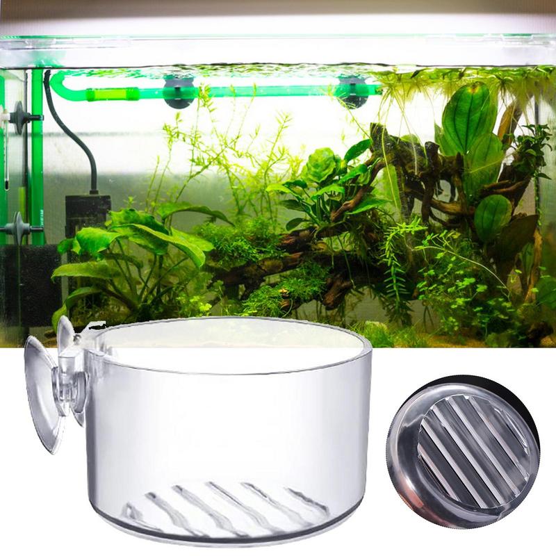 Aquarium Dekoration hängen Aquarium Kristall Acrylglas Blumentopf Polka Wasser Pflanz zylinder Tasse Fütterung Wasser Topf