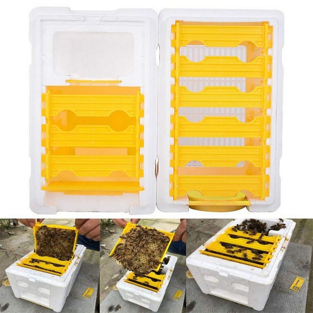 Double Bees Mating Foam Box Beekeeping Tool Foam Beehive Bee Tailing Box Foam Breeding Box Pollination Box Harvest Bee Hive