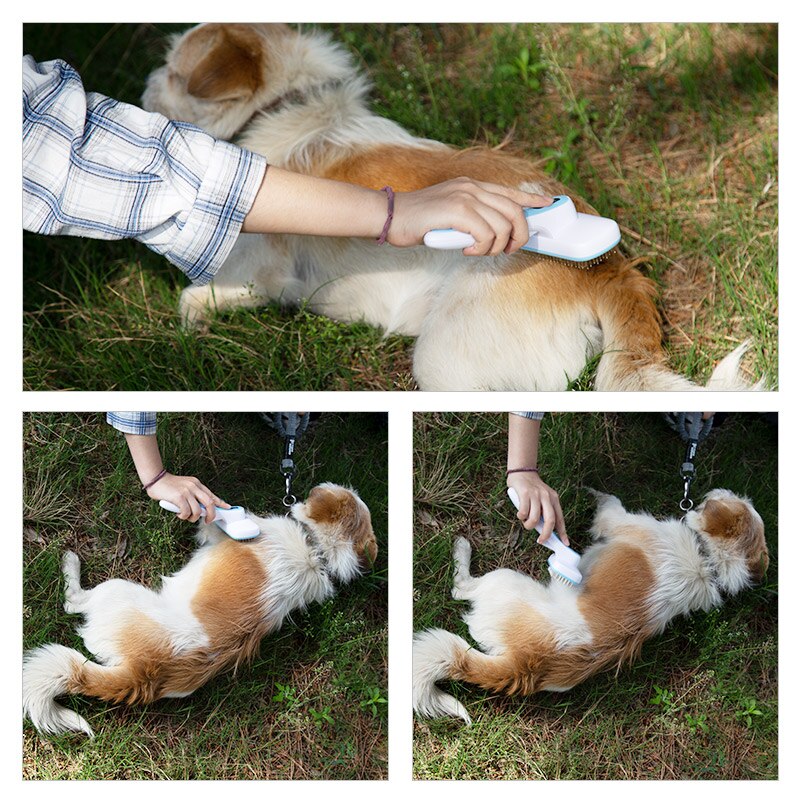 Deppet pet comb automatische ontharingskam voor honden en katten, massage, styling en verzorgingstools, geschikt voor alle honden en katten.