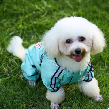 Dog Waterproof Raincoats Dog Clothes Waterproof Raincoat Jumpsuit Reflective Rain Coat Hooded Waterproof Jackets: Sky blue / Xxl