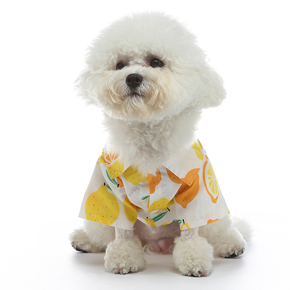 Chemises imprimées de fruits pour animaux de compagnie, T-shirt pour chien, Manteau fin, Veste pour chiot, Vêtements pour chat, Tenues pour petits chiens, Tenues de Schnauzer