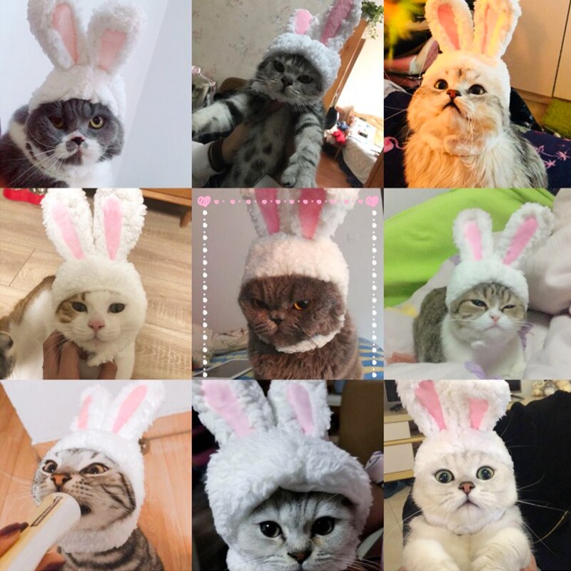 Söt sällskapshund katter mössa keps kanin mössa för katt hundar casual canvas keps för hund kitty hatt chihuahua djurprodukter 30