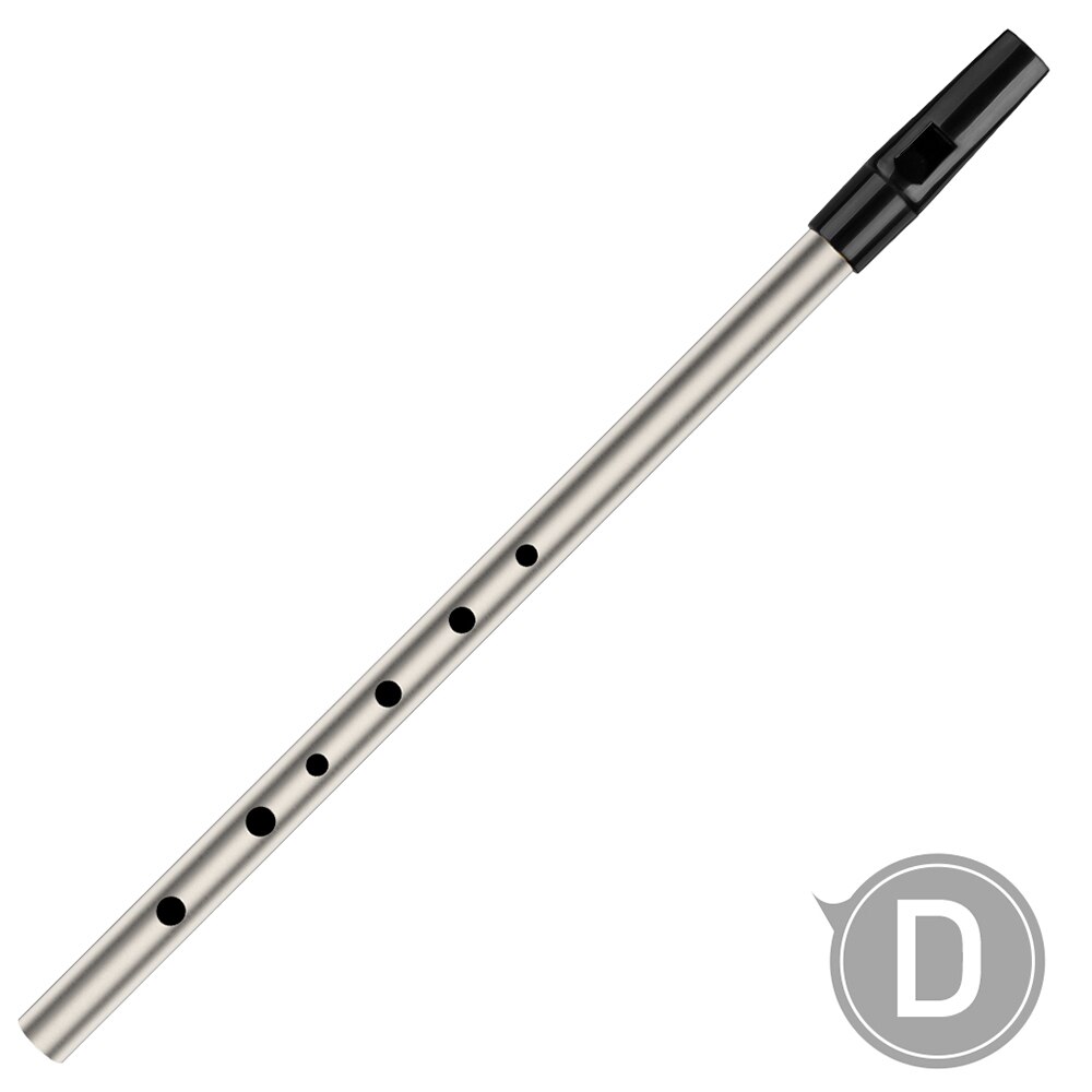 NAOMI 6-Loch Tin Whistle Traditionelle Irische Penny Whistle in D - Messing Musikinstrument für Anfänger