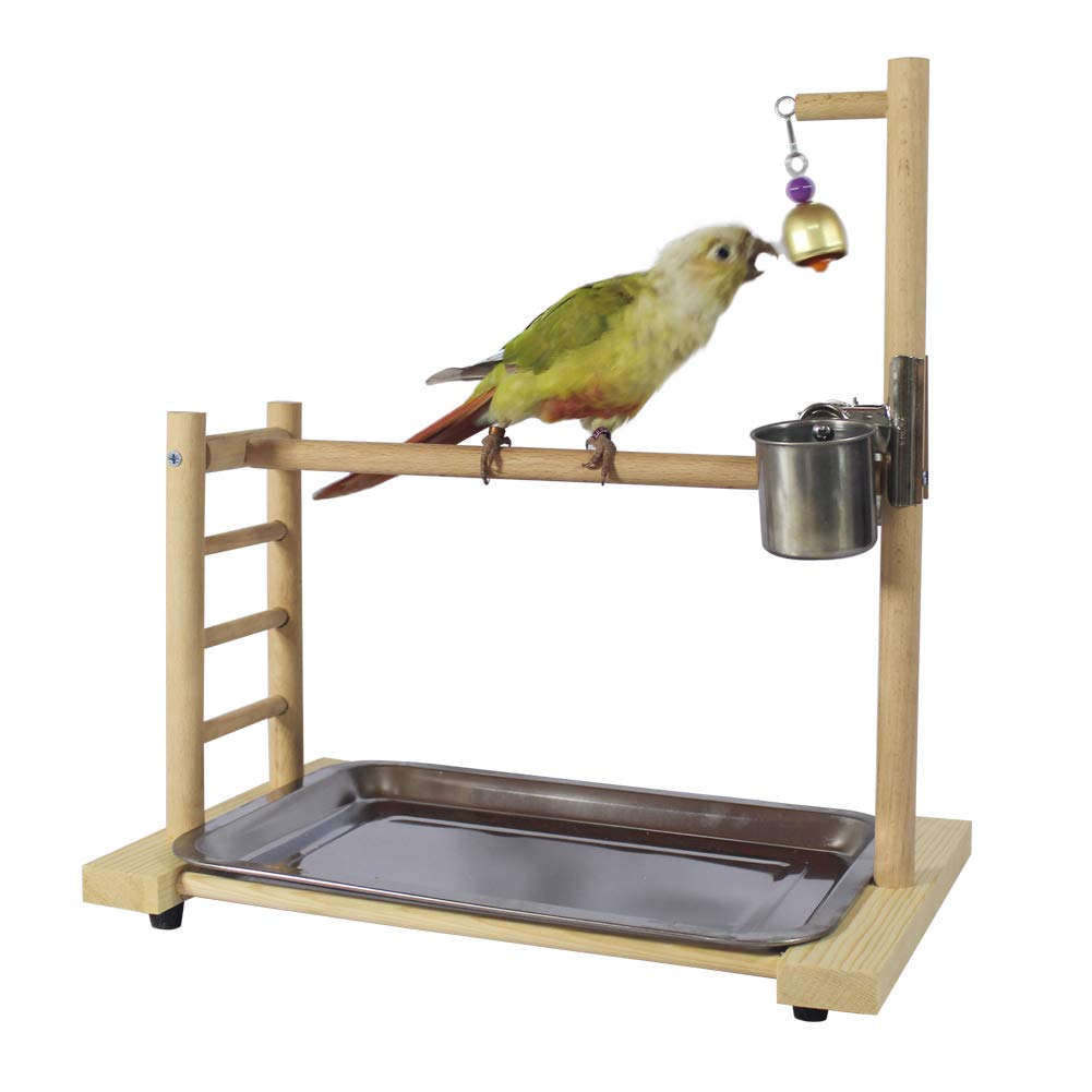 Birdcage Stands Papegaai Play Gym Hout Conure Van Speeltuin Vogelkooi Stands Accessoires Vogelhuisje Decor Tafel Top PlayStand