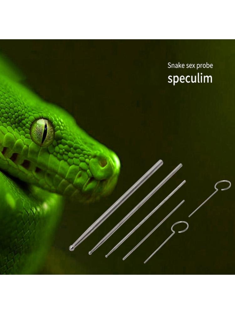 6 pièces serpent genre détecteur sonde Reptile sexe détection jouet R9JC