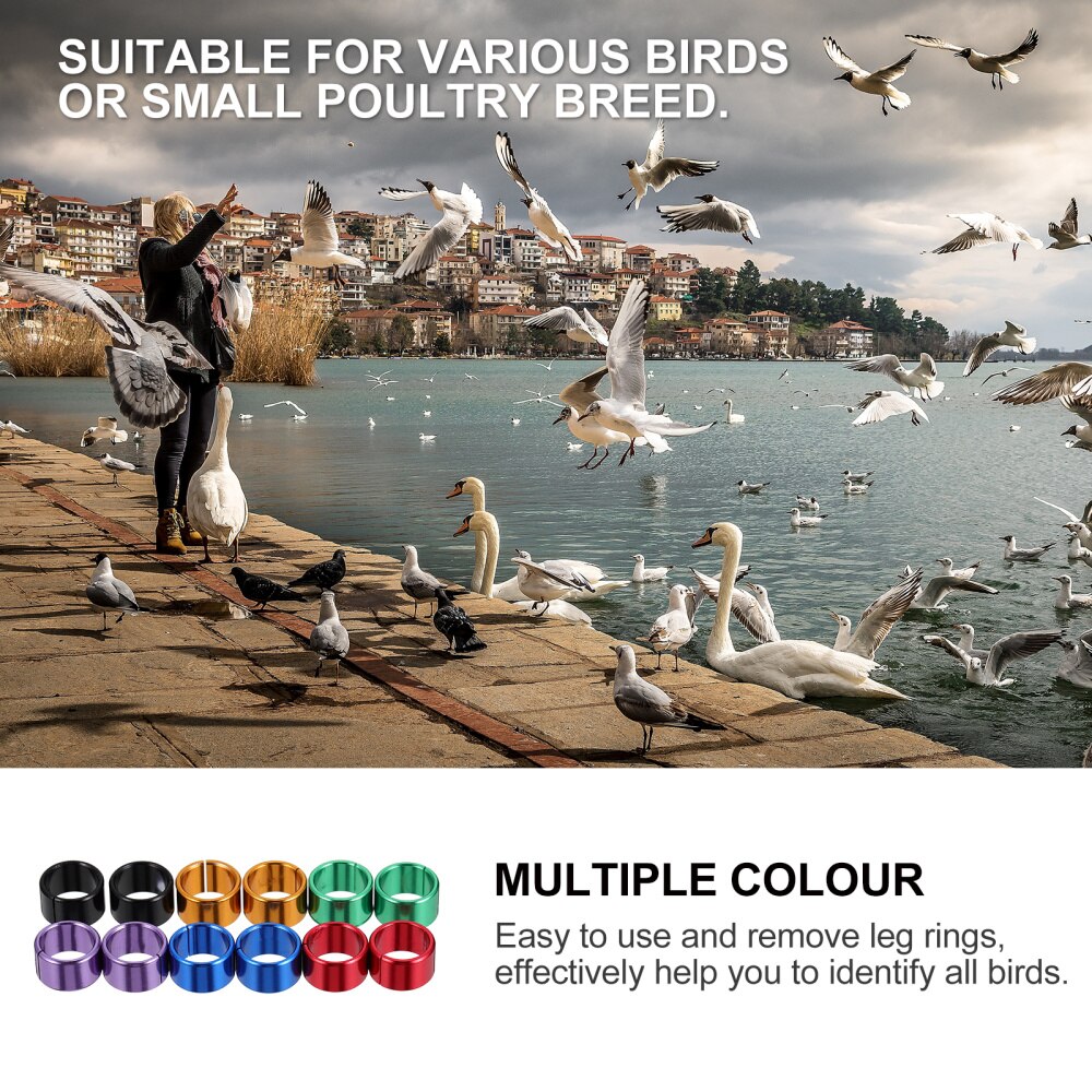12Pcs Blank Chicken Leg Bands Bird Chicks Ducks Poultry Clip on Leg Rings