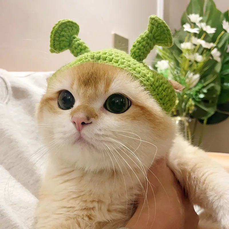 Outono inverno gato chapéu elástico bonito refinado chapéu para animais de estimação filhote de cachorro gatinhos chapéu de malha festa sessão de fotos adereços decoração acessórios para gatos: Transparente