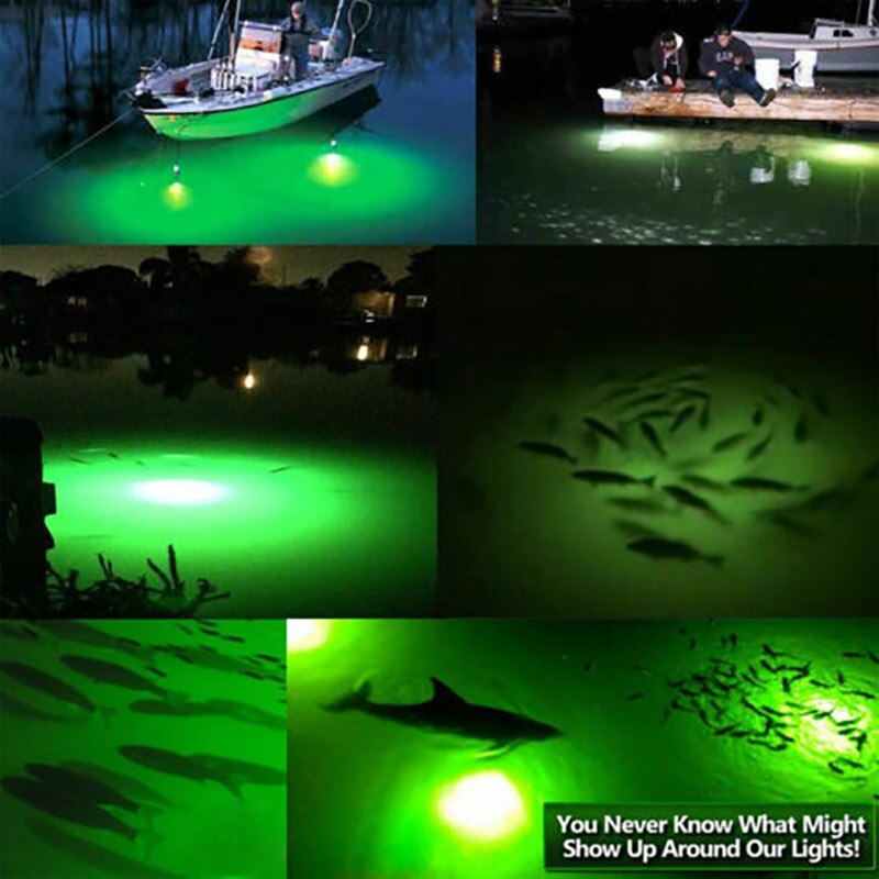 Lumière Led verte pour la pêche sous-marine, leurre pour attraper des poissons, attirer les crevettes, le calmar, le Krill, DC 12V, 180 pièces