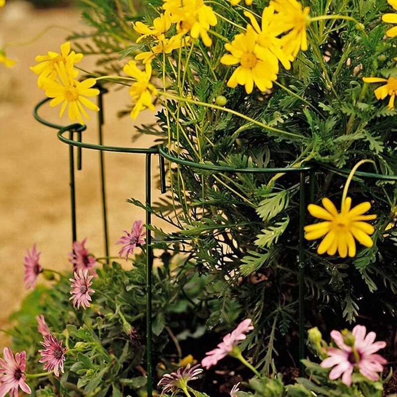 12 pièces Support plante Pile métal jardin plante Pile vert demi-cercle plante Support anneau fleur Arrangement fixation tige