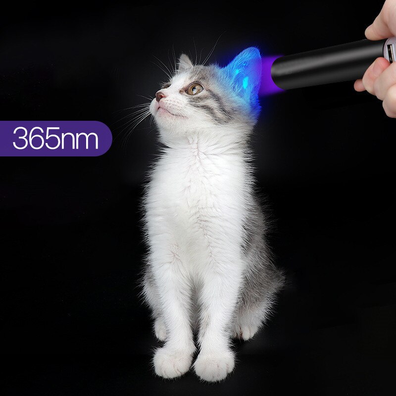 Lámpara de madera para prueba de hongos, luz ultravioleta para la piel, para gato, perro, musgo, Tinea, luz UV, Detector de manchas y orina para mascotas