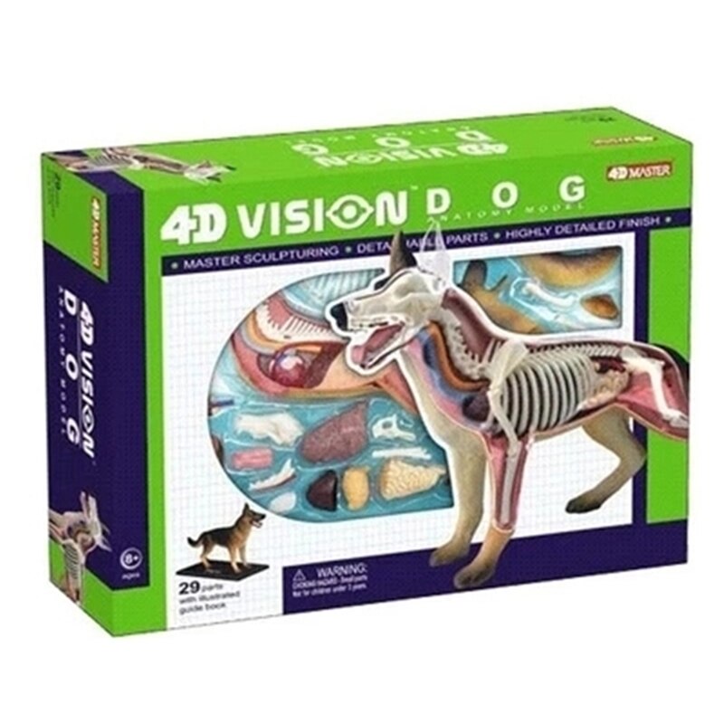 Simulatie dier pop 4d meester puzzel assemblage speelgoed wezen gevogelte kat hond paard varken haai walvis orgaan anatomie