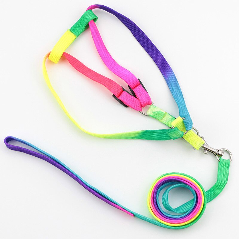 Breakaway rainbow nylon kat kæledyr halsbånd sele snor sæt til katte hund små kæledyr justerbar kanin hunde snor katten halsband