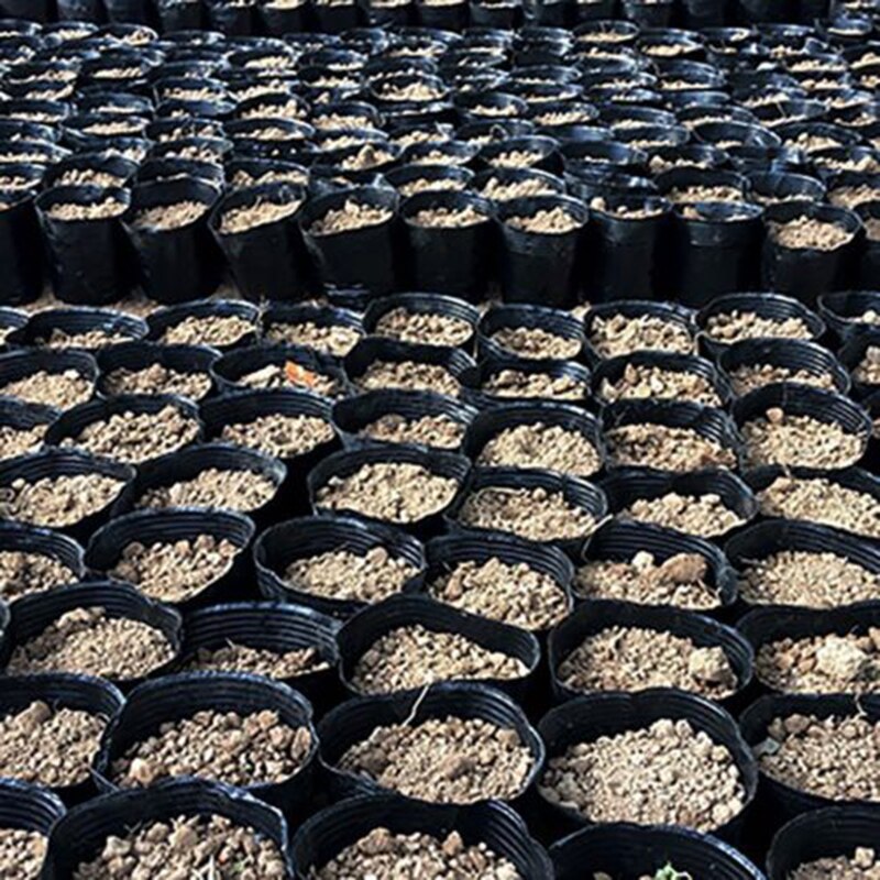 Macetas de Jardín de plantas para vivero, macetas redondas de 5 tamaños para cultivo de flores, maceta para jardín y Casa, 100 Uds.