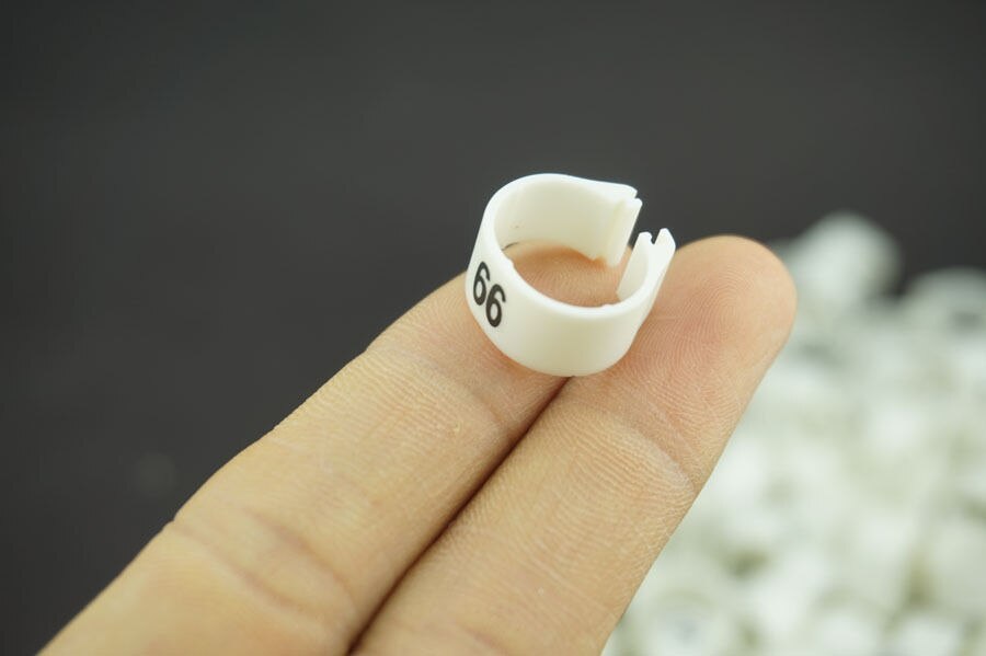 100 PCS/Lot White 14MM Dia 001-100 Numbered Chicken Leg Bands duck Chicken Goose Pet Rings