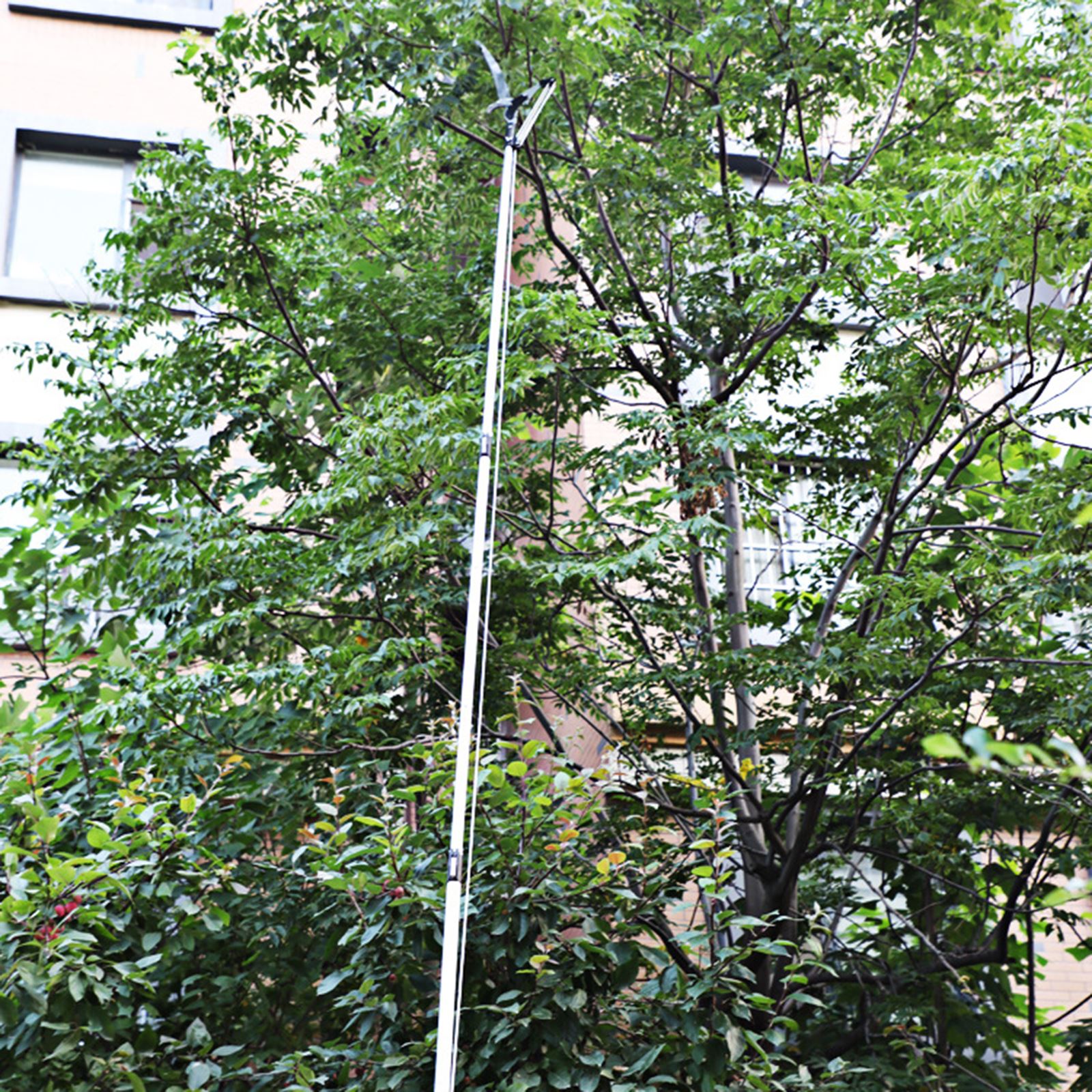 High-Altitude Tree Branches Trimmer Extendable Tree Pruning Saw Fruit Tree Pruner Shears Without Pole for Cutting High Branches