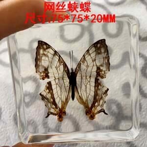 Animal Specimen Onderwijs Kinderen Speelgoed Dier Vlinder Hars Specimen Amber Goederen Van Voor Display Eerder Dan Voor Dragonfly: cyrestis thyodamas