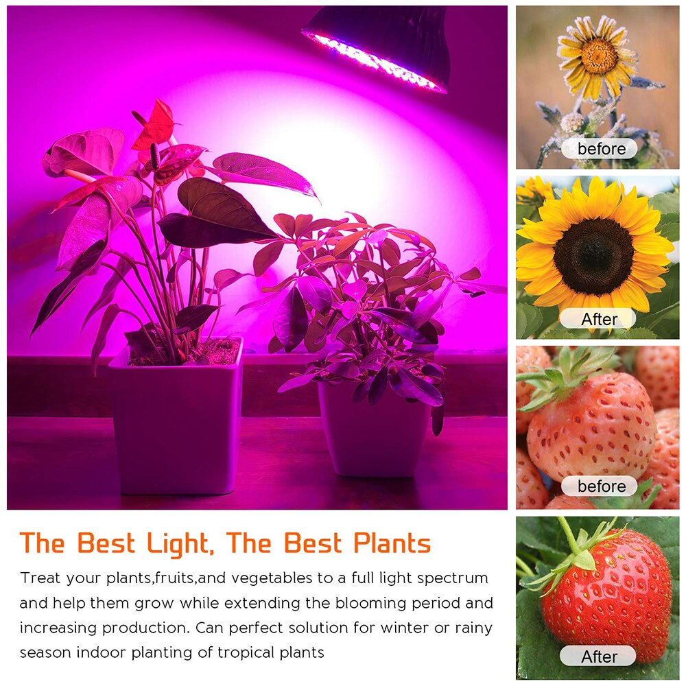Luces Led de espectro completo 8W-80W E26/27 lámparas Led de cultivo bombillas para invernadero AC85-265V de jardín interior