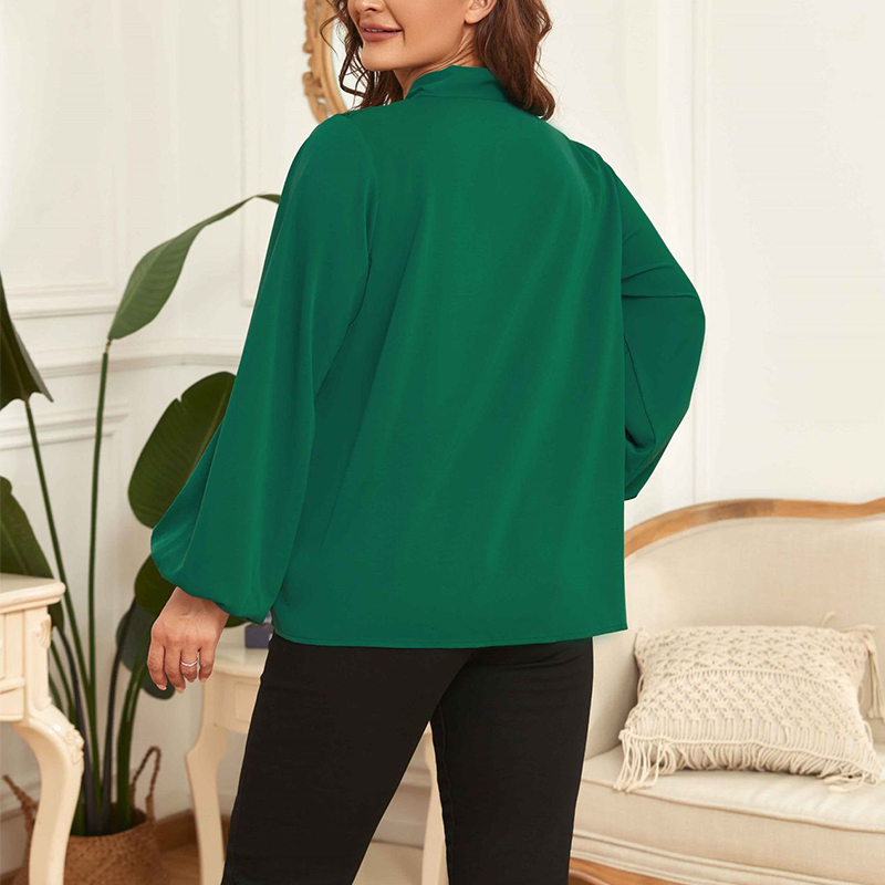 Camisa de manga larga de encaje para mujer, blusa femenina de Color sólido, talla grande, de otoño e invierno, 2022