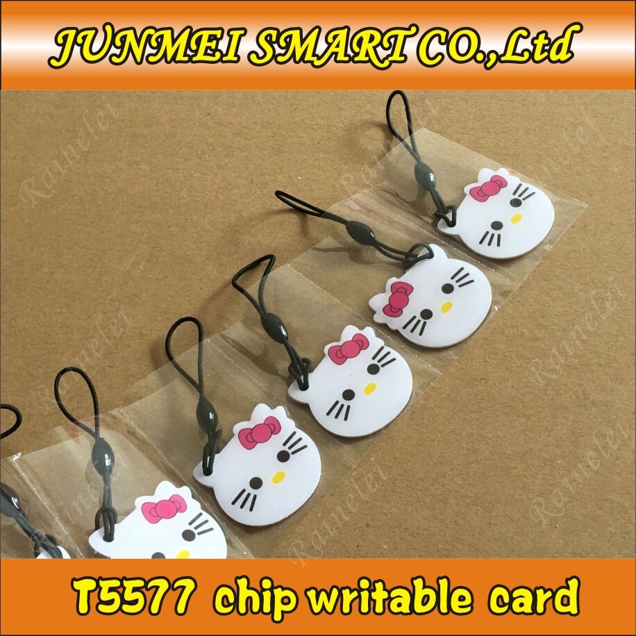 125Khz Proximity RFID EM4305 T5577 epoxy tag Smart ID Writable keyfob Rewriteable Token Tag Keyfobs Keychains Access Control