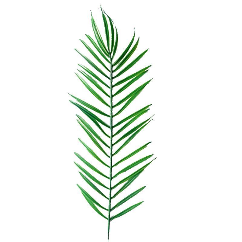 Feuille artificielle décorative, 1 pièce, fausse feuille réaliste, plante artificielle, accessoire de photographie, accessoires de décoration pour la maison, accessoires d'art DIY: Cycas Leaf