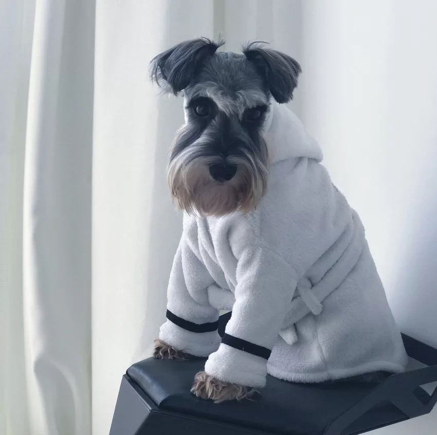 Hund badekåbe pyjamas nattetøj kæledyr hvalp blød frakke schnauzer chihuahua jakke til hunde om vinteren holder varm emc 09
