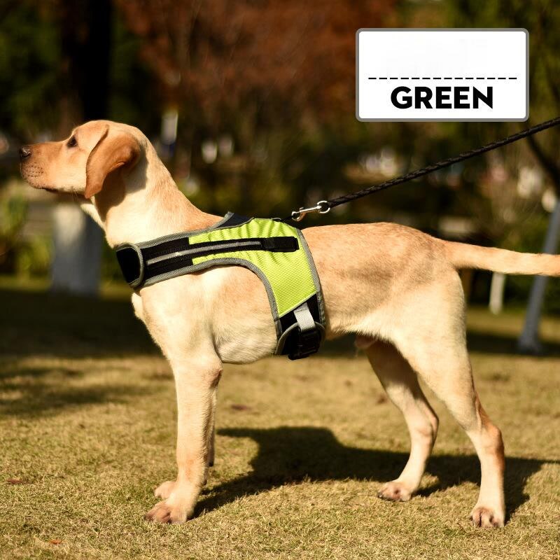 Led -valoiset koiran valjaat sytyttävät koiran rintahihnan liivin lemmikkieläinten turvallisuutta heijastavat valjaat kaulus lemmikkiliivi husky -paimenen labradorille: Vihreä / L