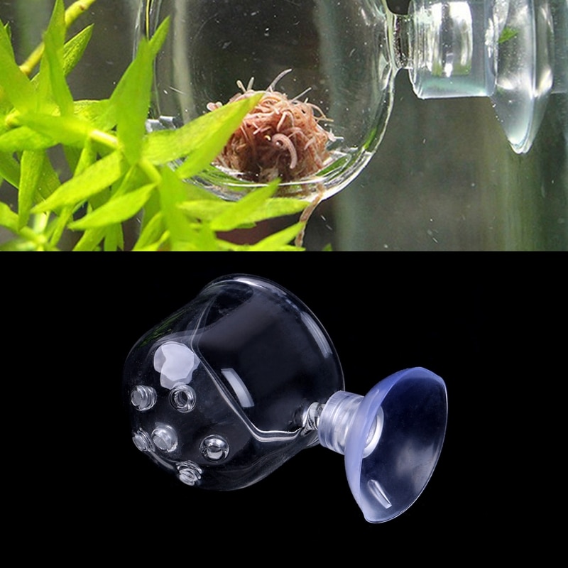Pinhole glaskrukkeplante kopholder rejer akvarie akvarium vandføder 85wc