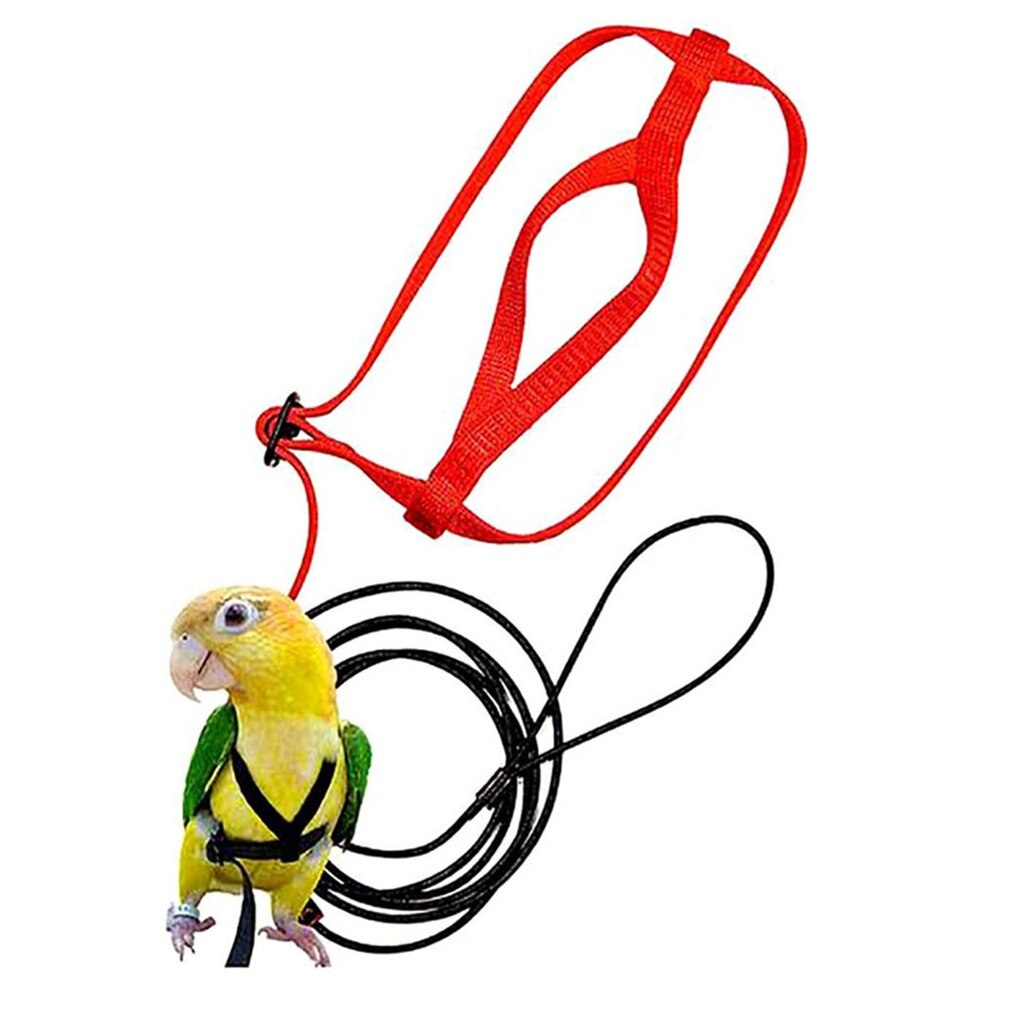 Nylon Verstelbare Bird Harness Duurzaam Elastische Stof Ademend Training Vest Vogel Veilig Harnas Papegaai Kaketoe Levert