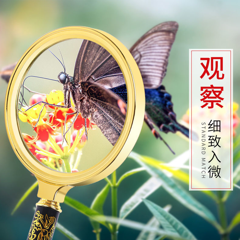 High Definition Portable Handheld Magnifier Handle Magnifying Glasses Metal Jewelry Diamond Magnifying Glass Read Magnifier