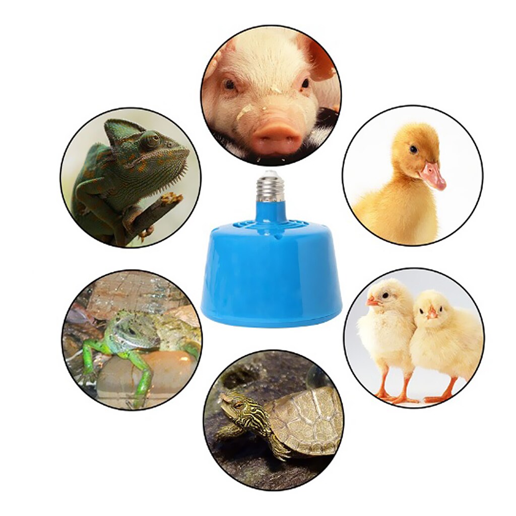 Warmtelamp infrarood verwarmingslamp voor klein pluimvee blauw