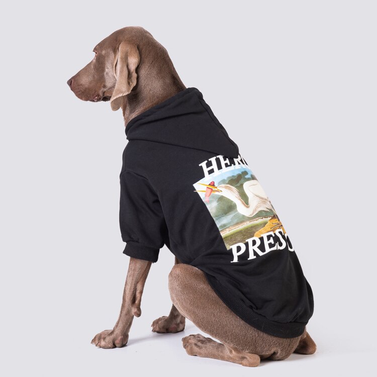 Large Dog Clothes Spring and Autumn Dog Sweatshirt Golden Retriever Labrador Doberman Dog Hoodie Dog Clothes Dog Accessories