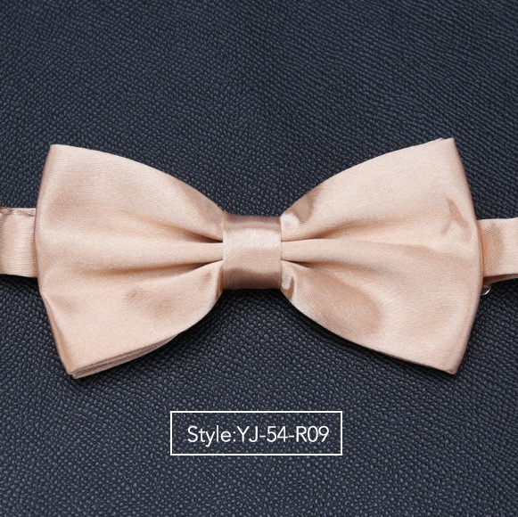 Herren Fliege Hochzeit Krawatten für Männer Frauen Solide Schmetterling Krawatte Krawatte Männlichen Kleid Hemd Zubehör Bowtie: YJ-54-R09