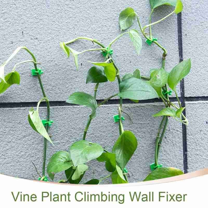 20 stk usynlig væg rotting klemme plante klatring støtte væg fixer væg vinstok klatring klæbrig krog rotting fast klip