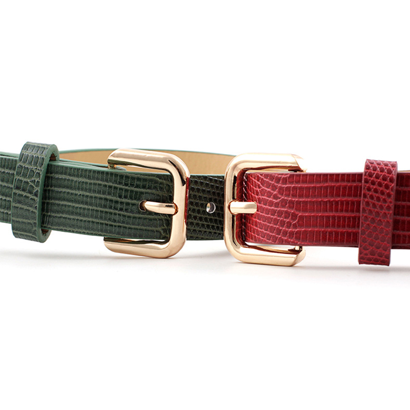 Effen Kleur Riemen Voor Vrouwen Gold Vierkante Pin Gesp Taille Riem Pu Lederen Riem Dames Snake Patroon Jurk Jeans Riem