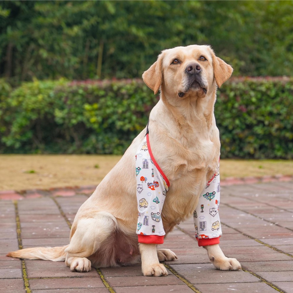 Cartoon Pattern Dog Elbow Sleeves Soft Brace Dog Elbow Protector Shoulder Support Cotton Pet Knee Pads for Elbow Brace: M / Red