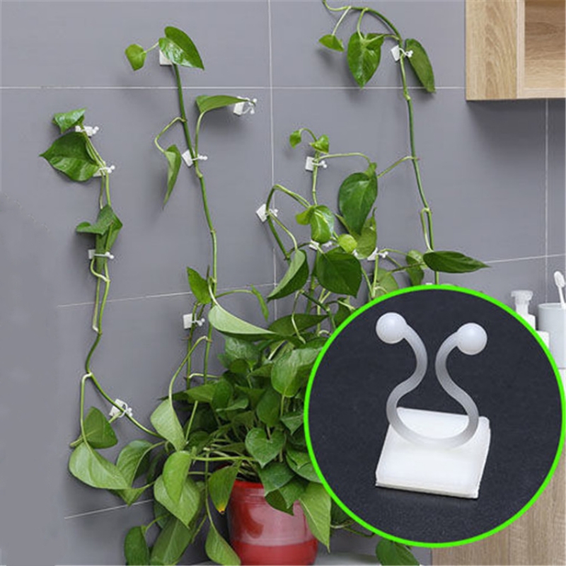 Pflanzen kletterwand Clips Rebe Schnalle Haken Rattan Klemme Fixateur selbst klebende Pflanze Stent unsichtbare Rebe Klettern feste Halterung
